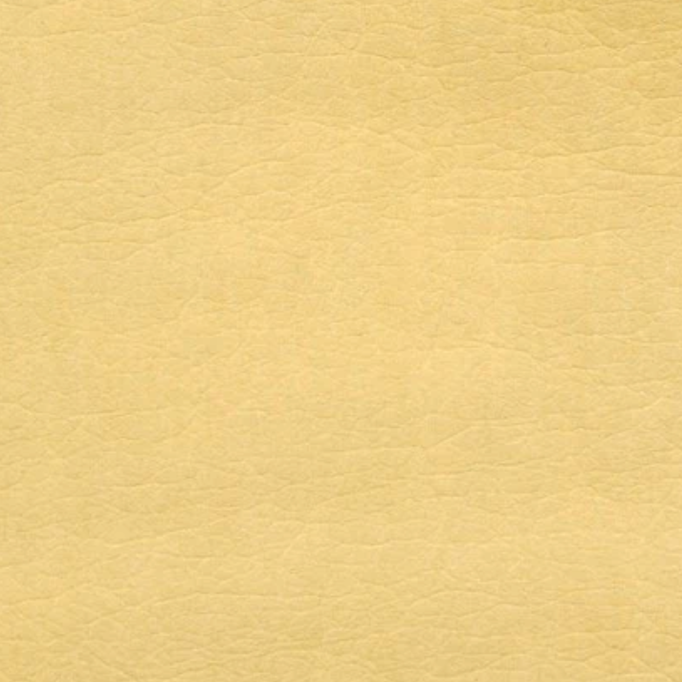 Piñatex® Original Pineapple Leather