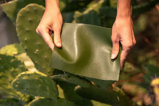 Building a Sustainable Future with Plant-Based Materials