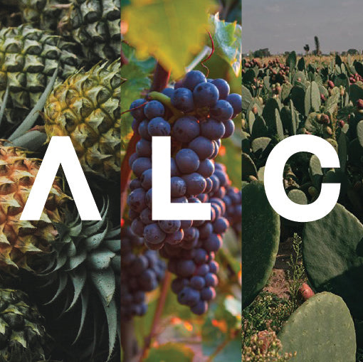 Piñatex Pineapple Leather – Alternative Leathers Co.