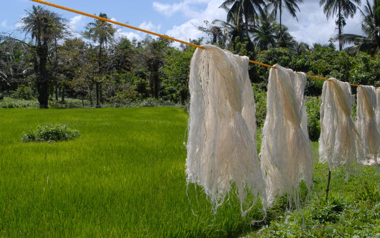 About Piñatex® – Alternative Leathers Co.